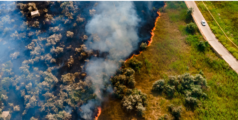 Tools to help you prepare for bushfire season 3